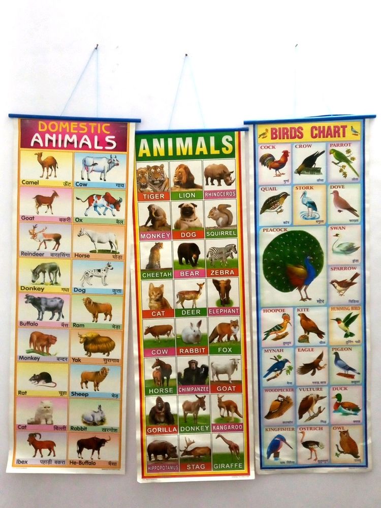 Learning Charts For Kids