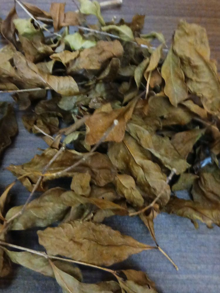 Dry Mehendi Leaves