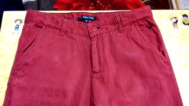 Allen Solly Branded Boys Pant