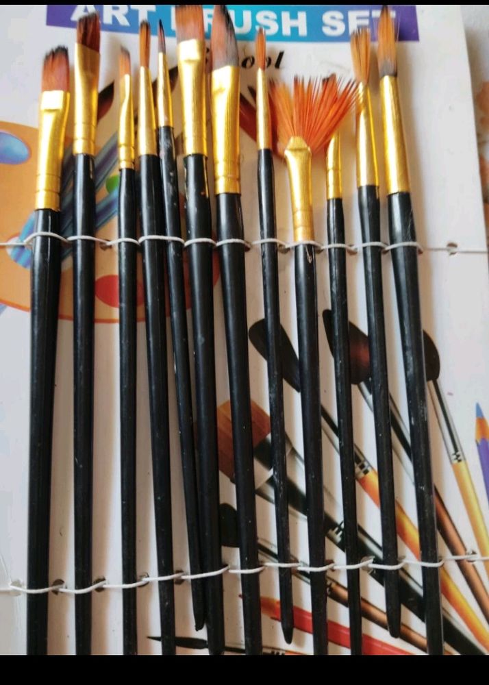 Professional Nylon 12 Brushes of Different Sizes