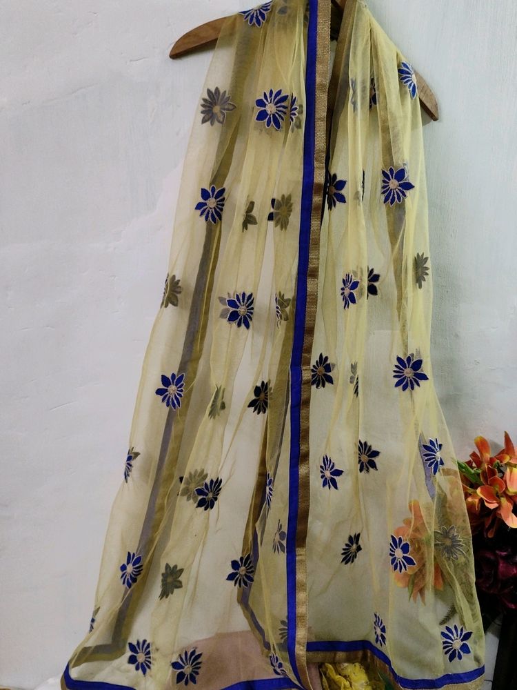 Very Beautiful Dupatta With Embroidery