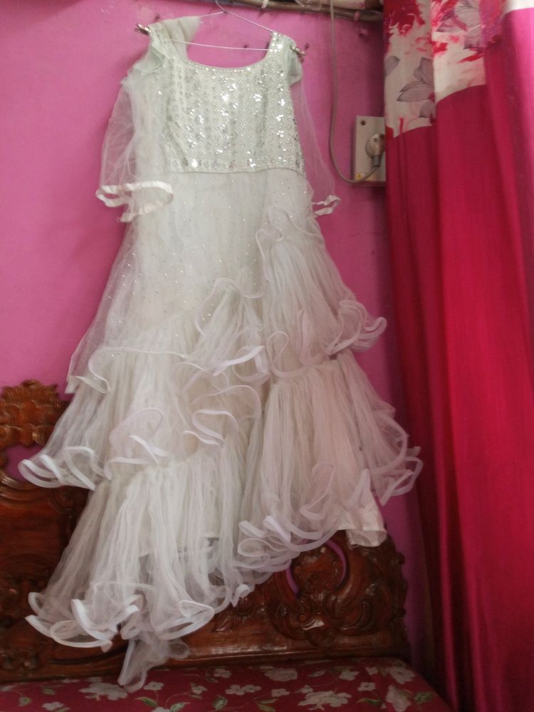 Light Colour Beautiful Full Length Net Barby Gown