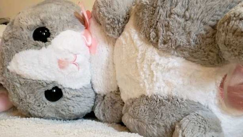 Bunny Plushie