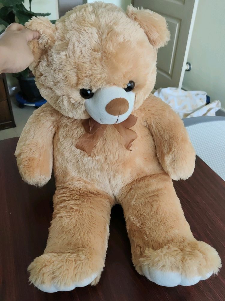 Teddy Bear (80cm)