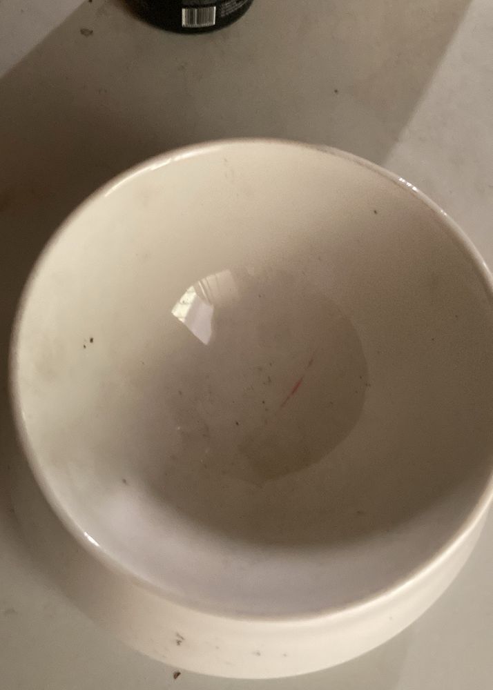 Ceramic Dog Bowl With Free Matt