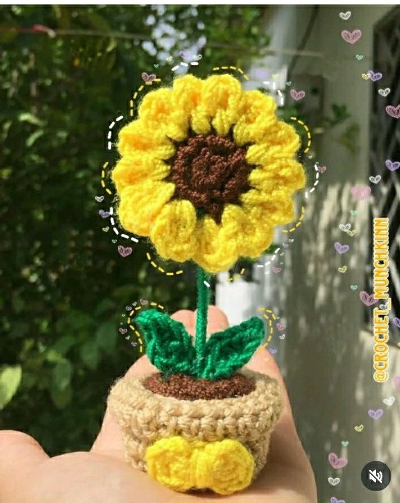 Sunflower Pot🌻