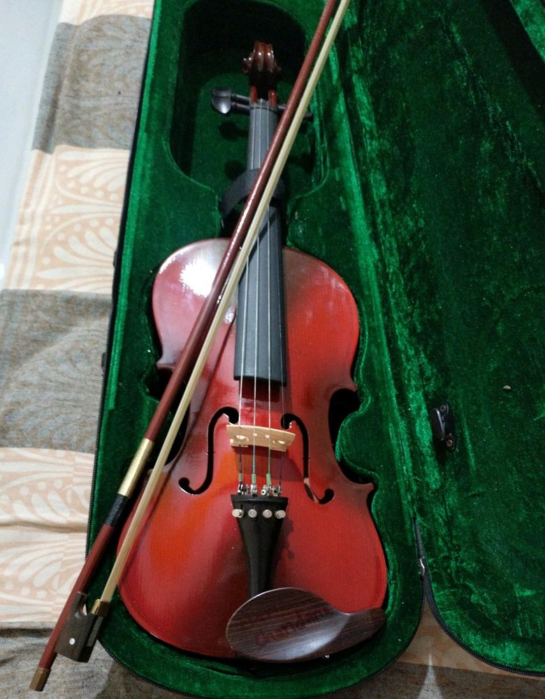 Violin