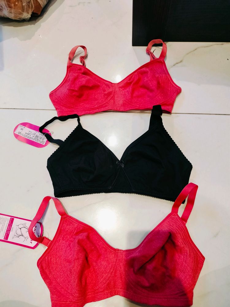 Enamor Combo Of 3 Brand New Bra