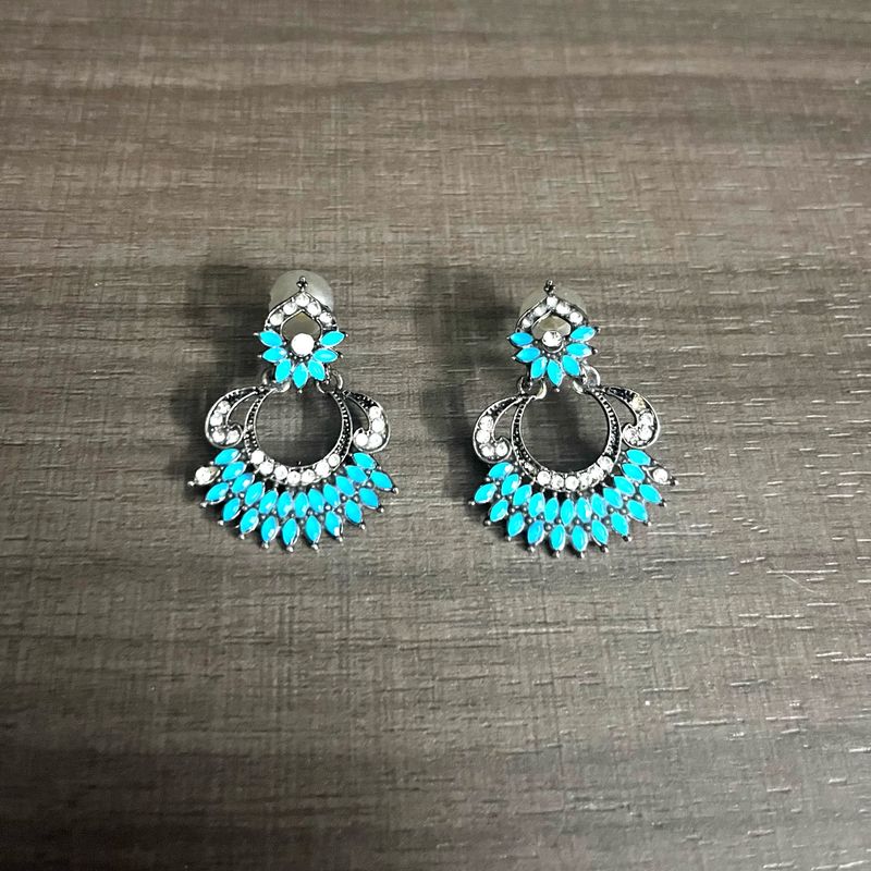 Naari Srinagar Earrings
