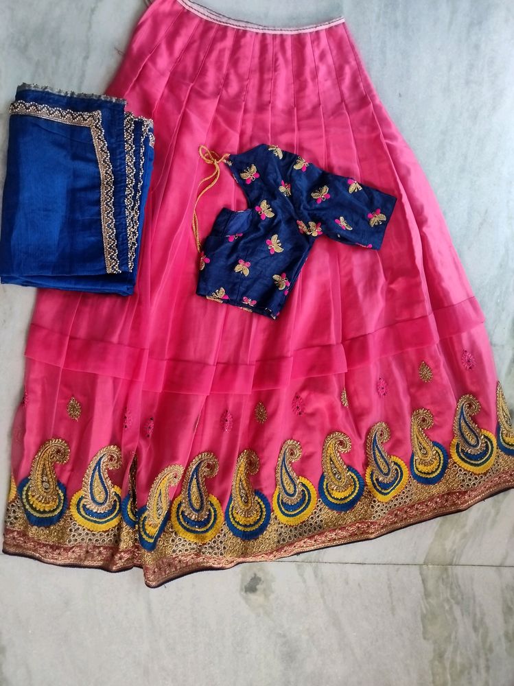 Designer Neted Lehenga