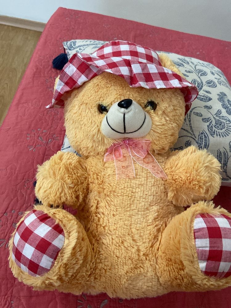 Teddy Bear Soft Toy