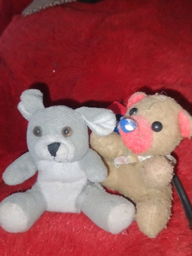 Combo Of 2 Teddies