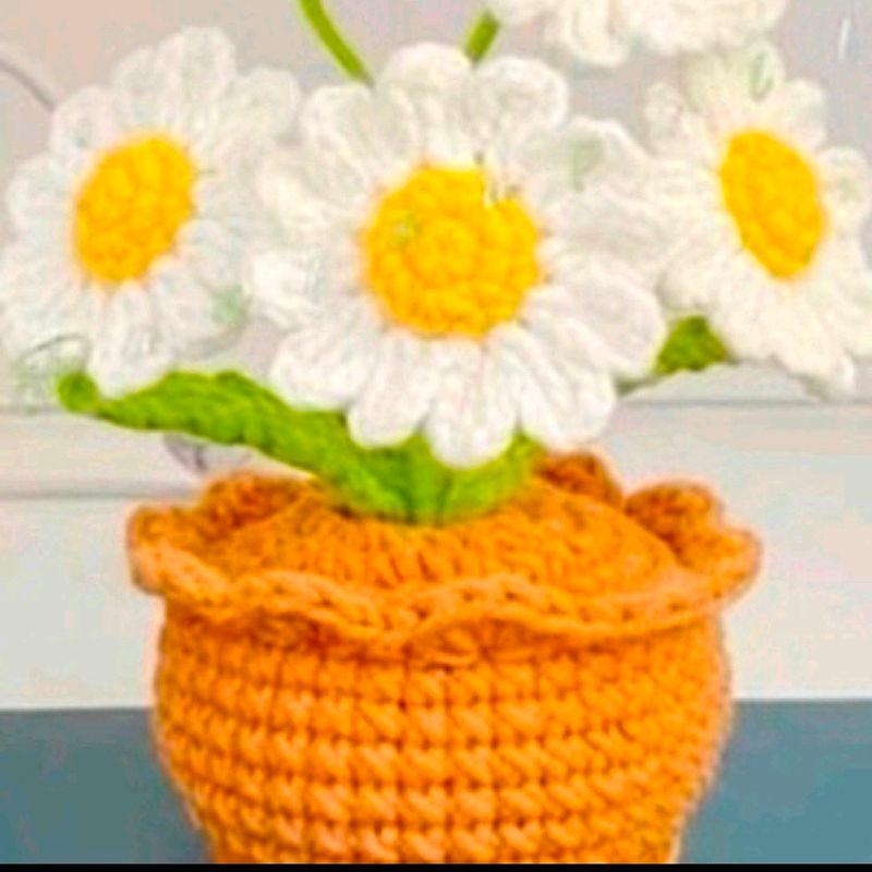 Crochet Flower Pot( 6 Flowe)