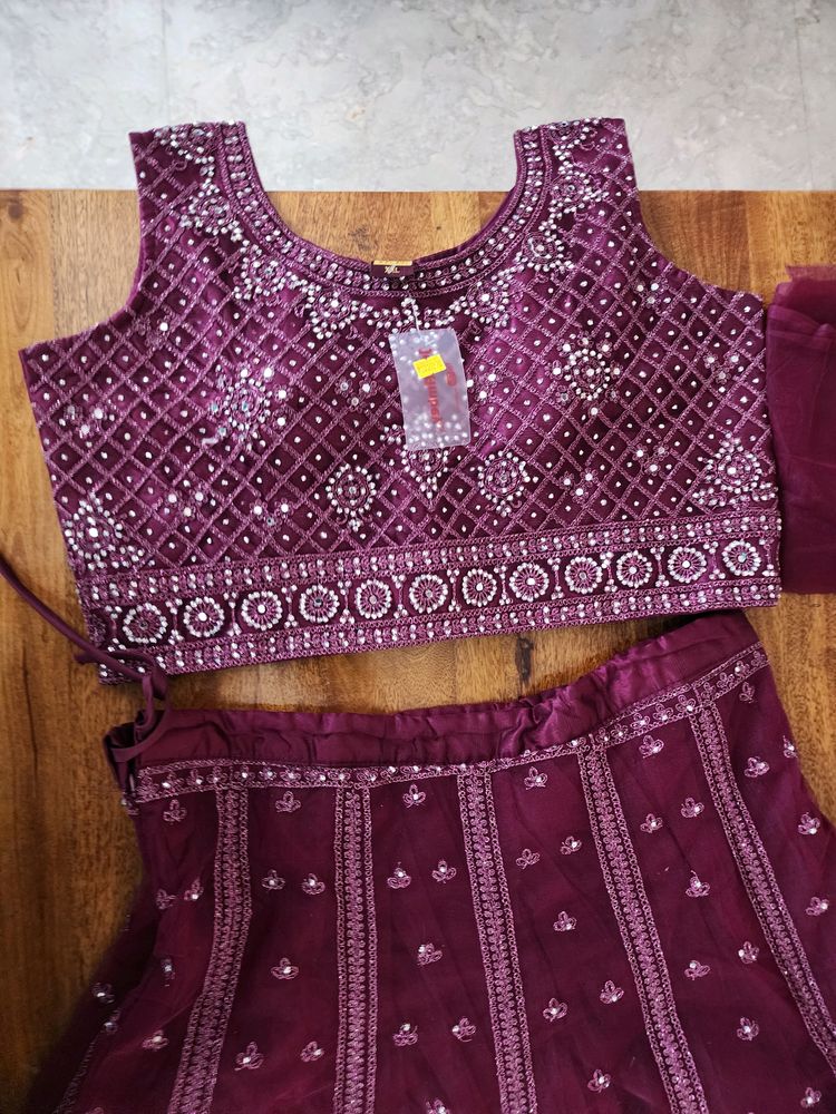 Stunning Wine Purple Lengha Choli XXL