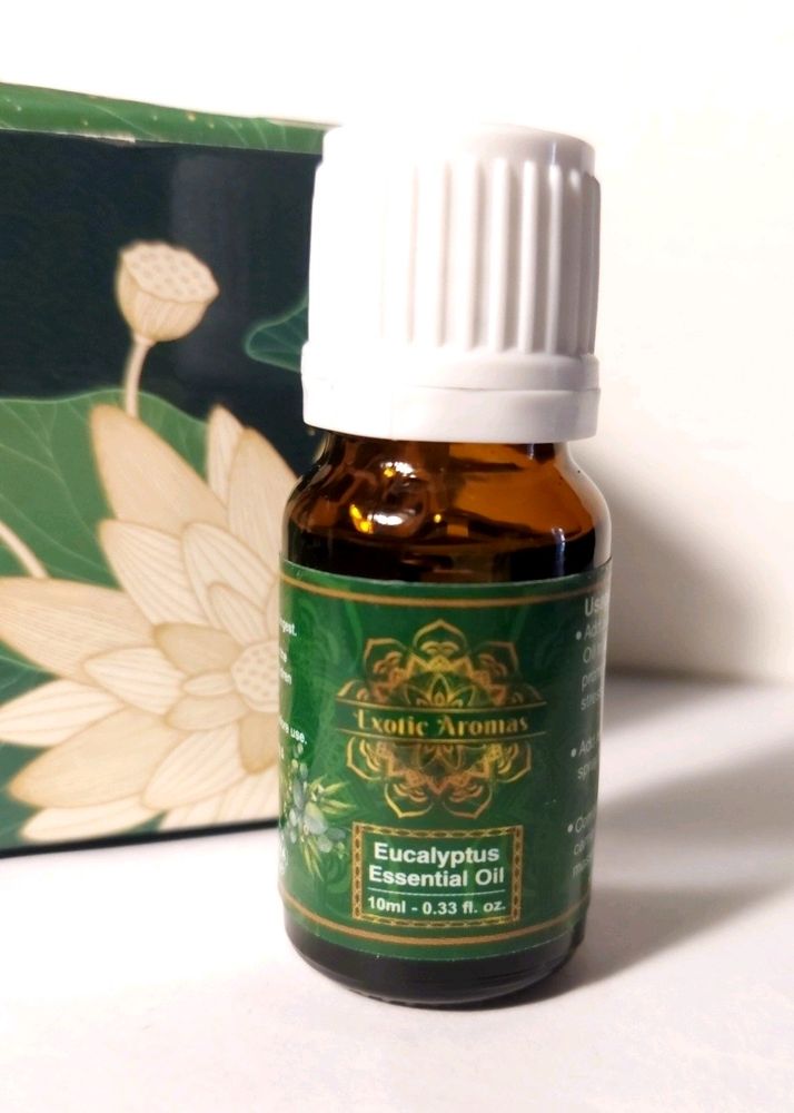 10ml Eucalyptus Essential Aroma Oil