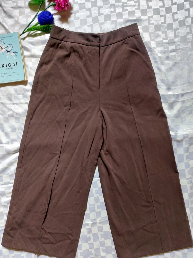 Brown Formal Pants