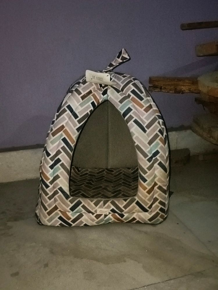 Dog House