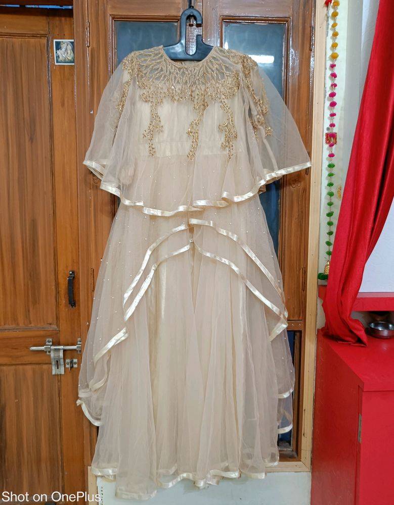 Elegant Look Nude Colour Full Flare Gown