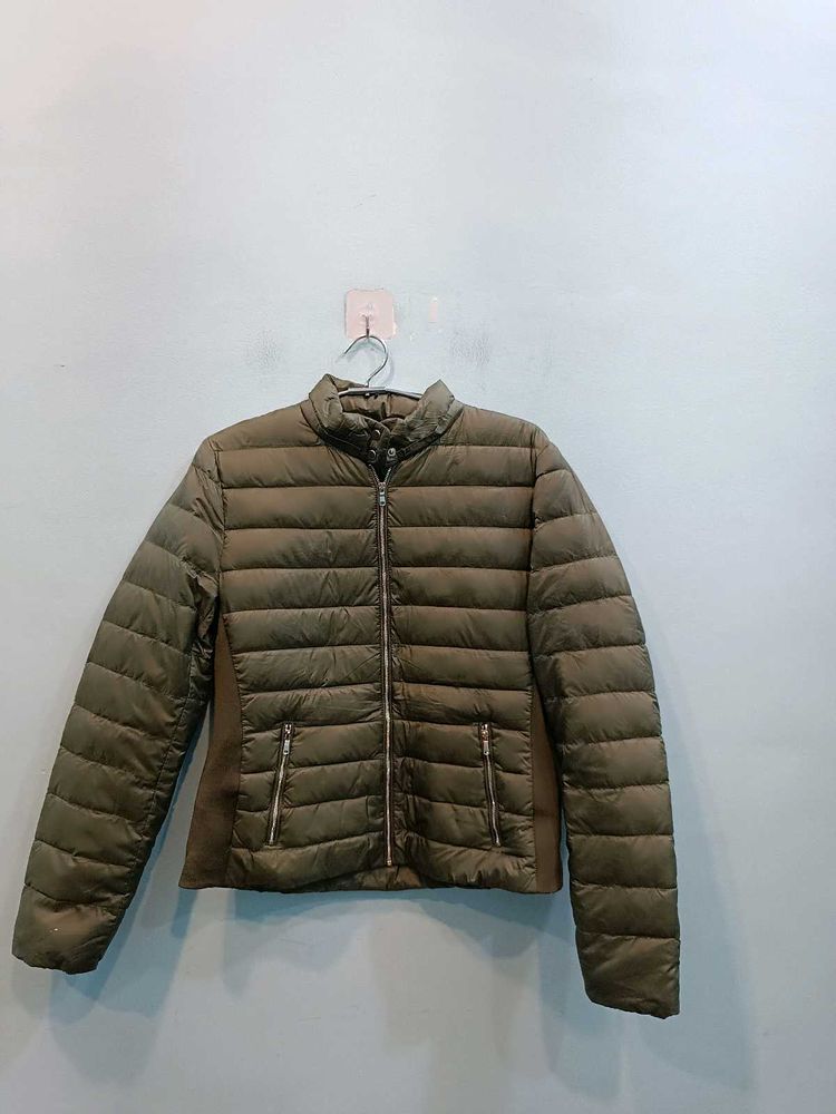 🇹🇷 Zara Imported Puffer Jacket