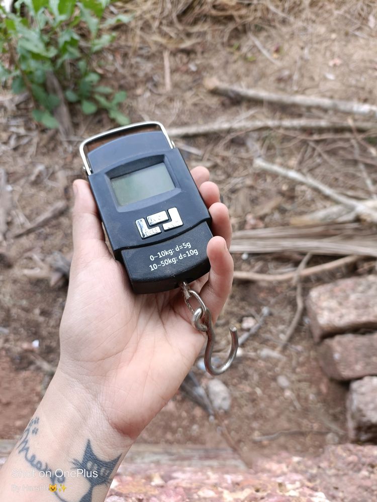 Electronic Weighing Machine Working