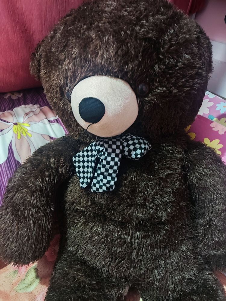 Brand New Teddy Bear