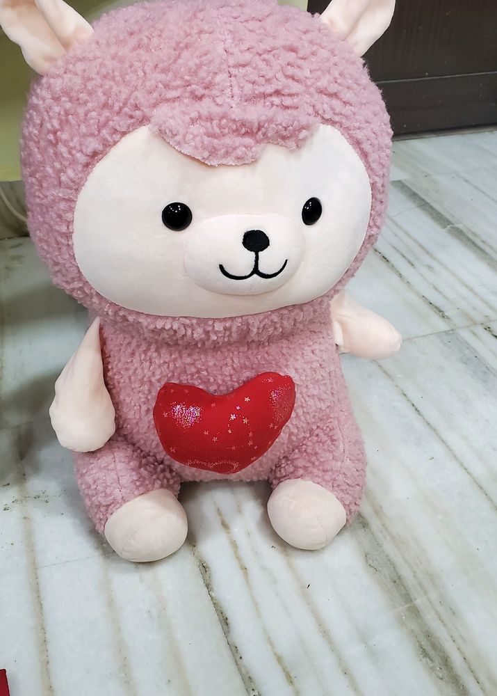 TEDDY 🧸 BEAR ITS NEW SELLING BECAUSE OF Storage