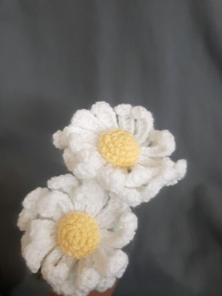 Large Double Layer Crochet Daisy Flowers