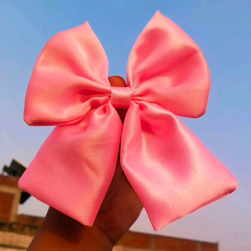 Beautiful Small Hair Bow 🎀