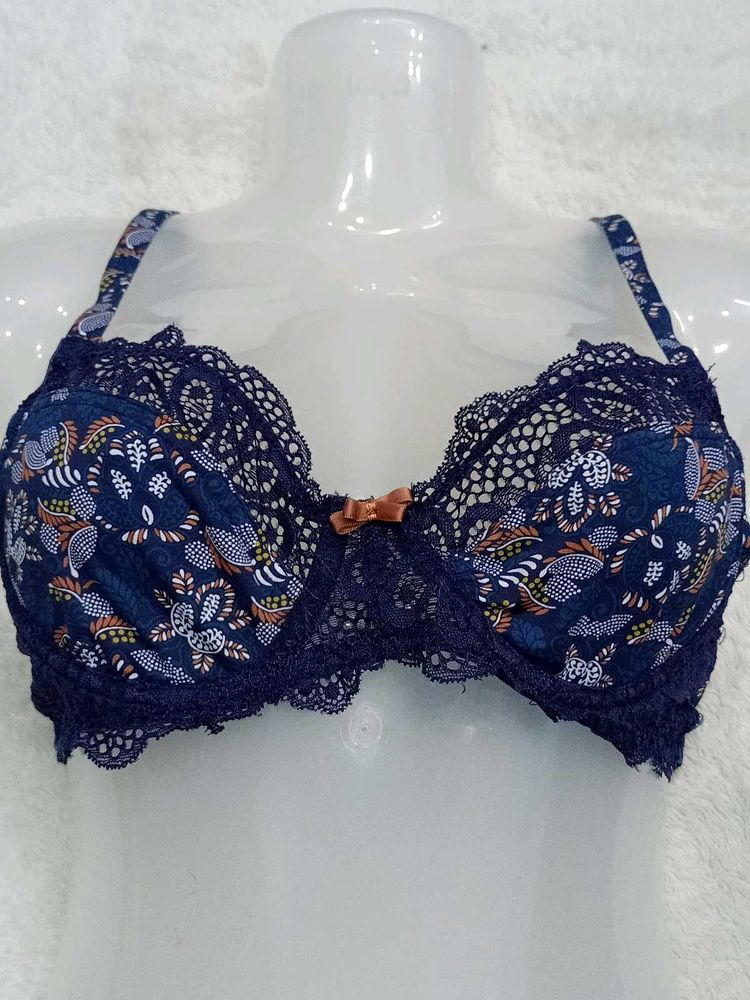 34b Bra Look