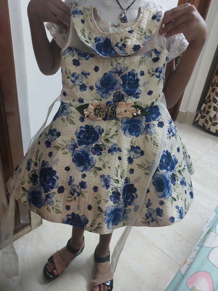 Beautiful White And Blue Flower Frock