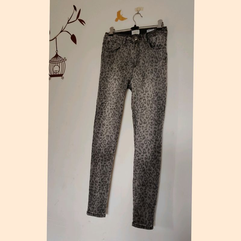 Imported Animal Print pant