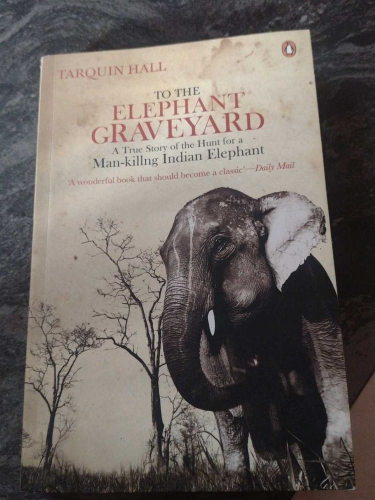 To the elephant Graveyard