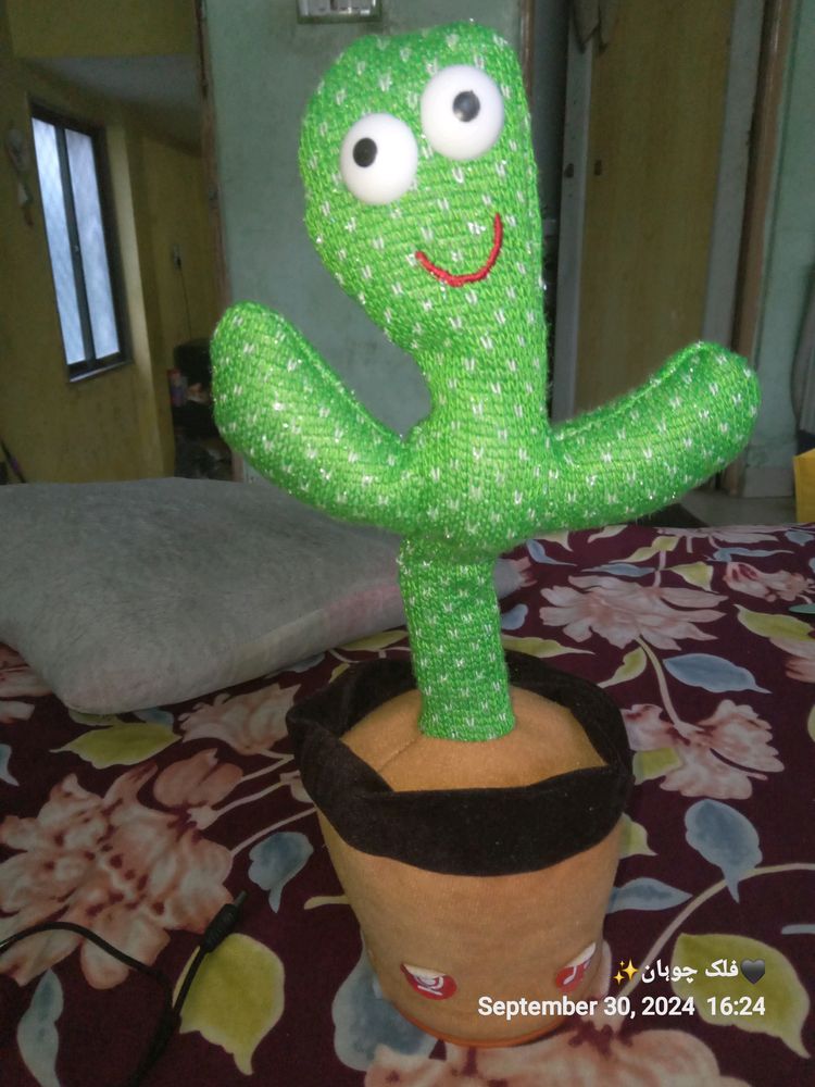 Dancing Cactus New