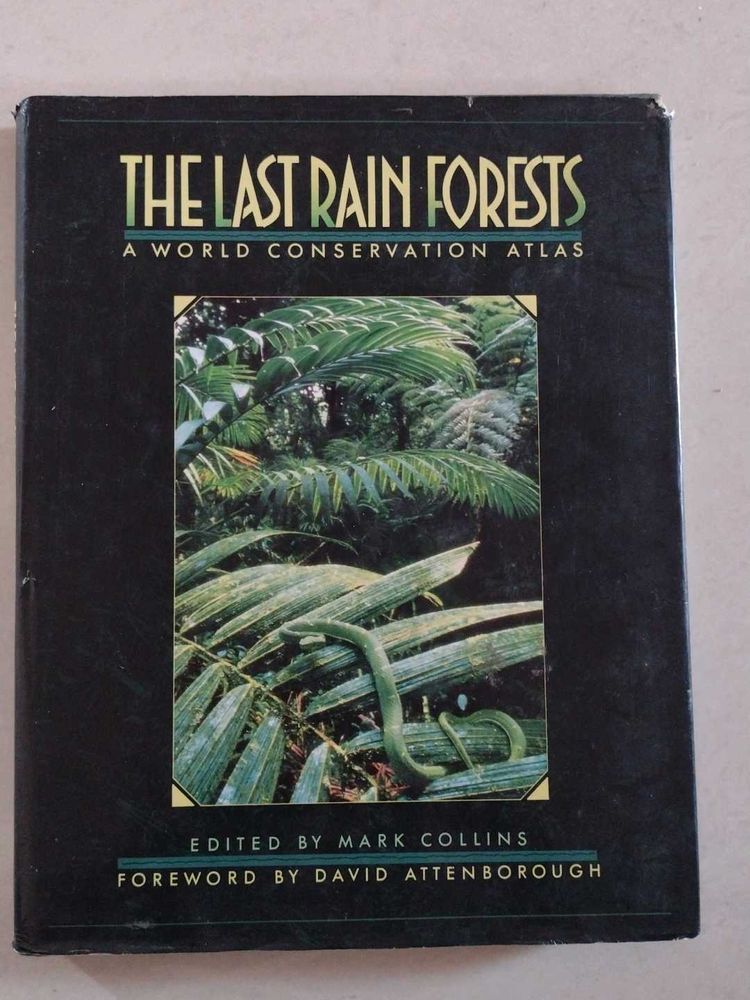 The Last Rain Forests