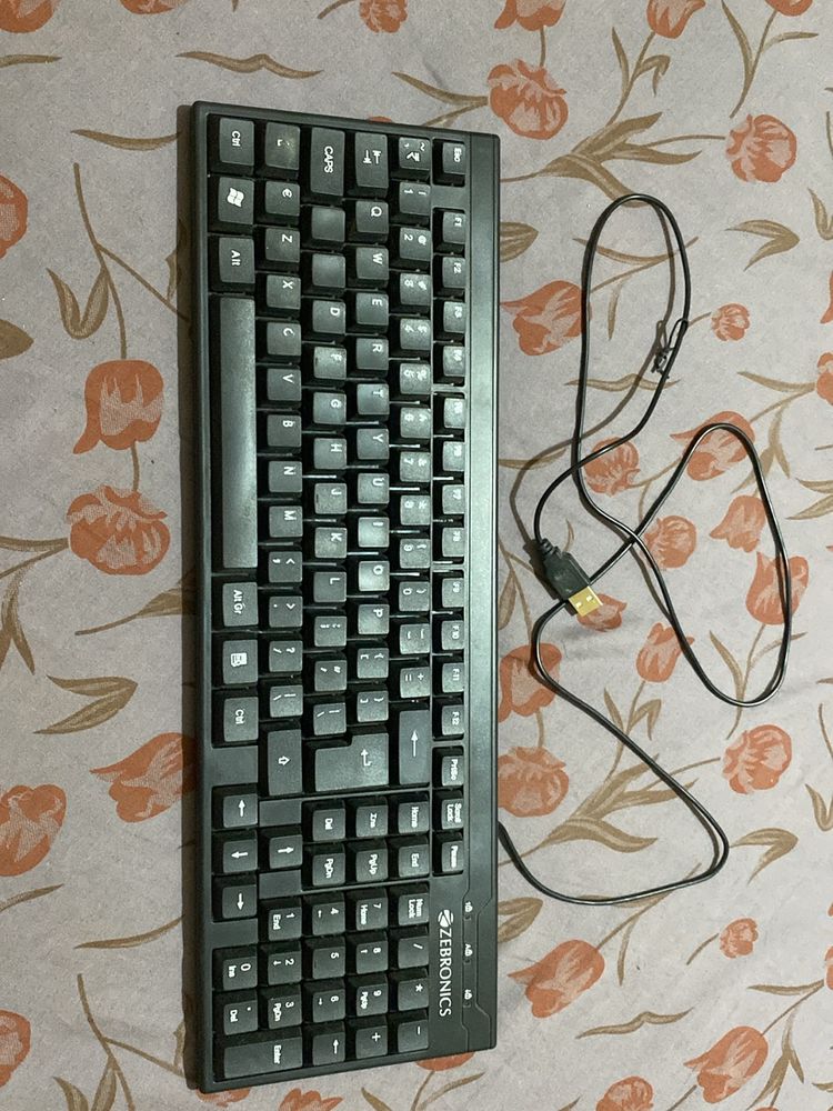 Zebronics Wired Keyboard (Working)