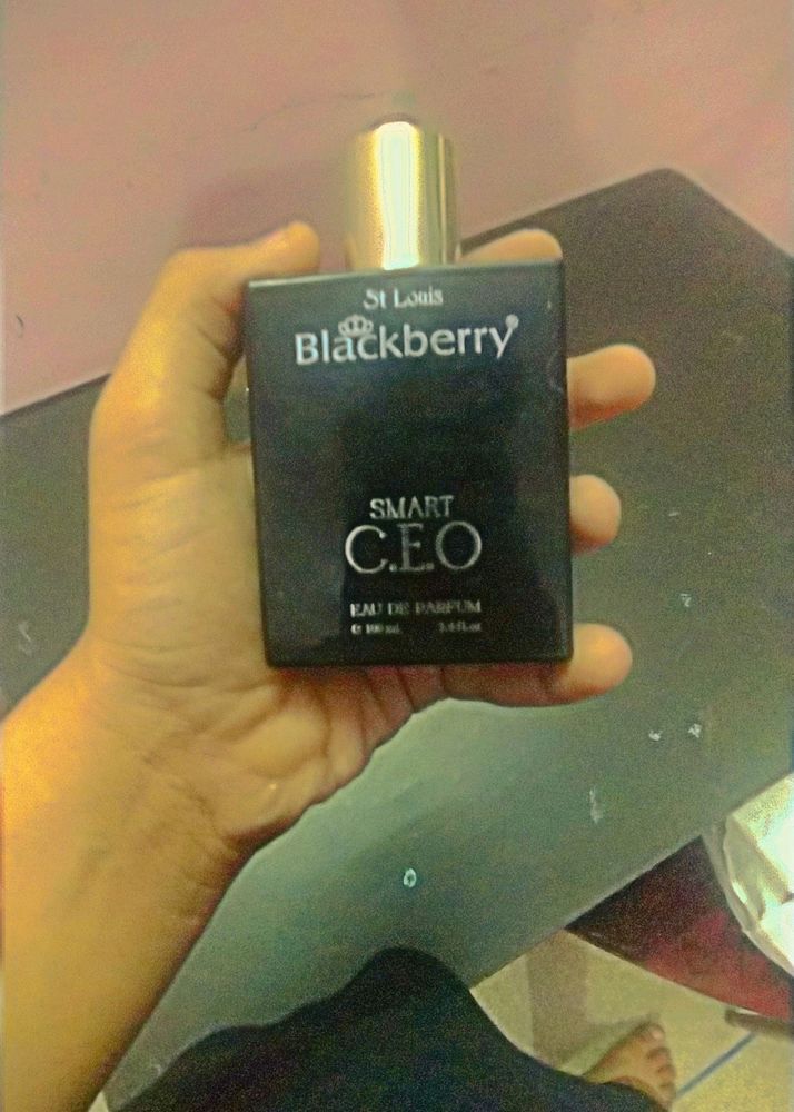 St Lois Perfume Blackberry CEO