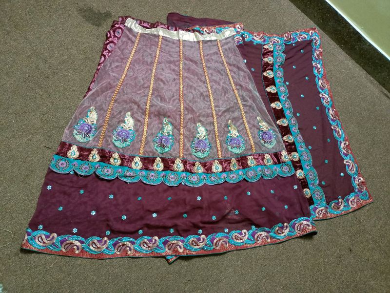 Beautiful Lengha Saree