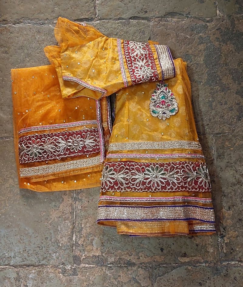 Net Ethnic Choli