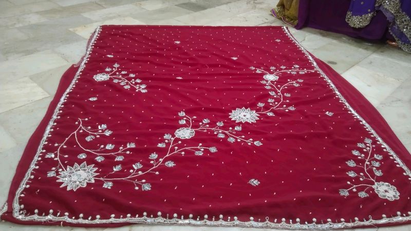 White Embroidery 🪡 With Red ♥️ Saree