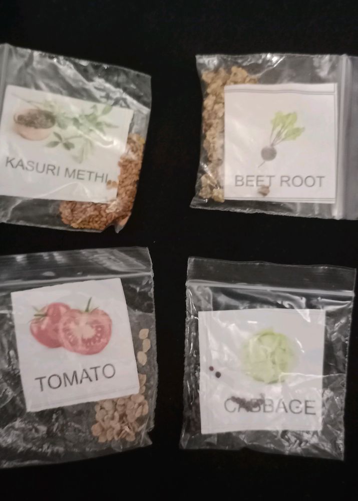 5 Vegatble Seeds