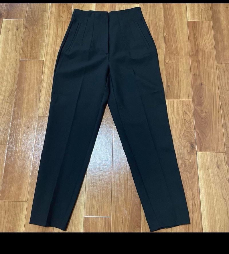 Zara High Waisted Pleated Pants