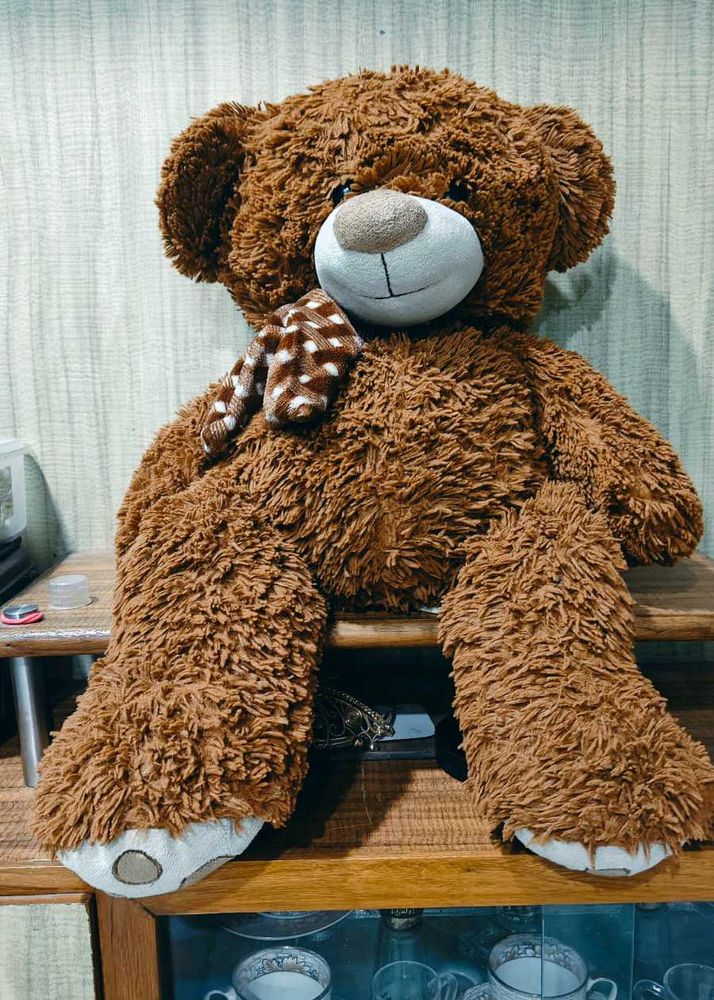 Imported Huged Teddy Bear