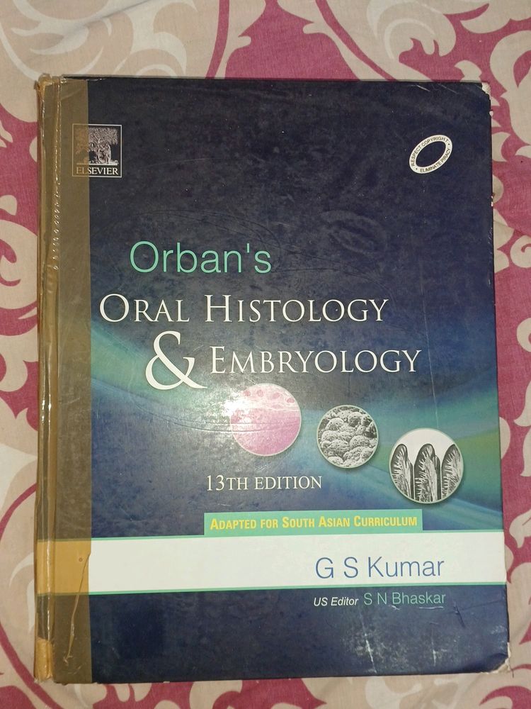 Orban's Oral Histology And Embryology 13th Edition