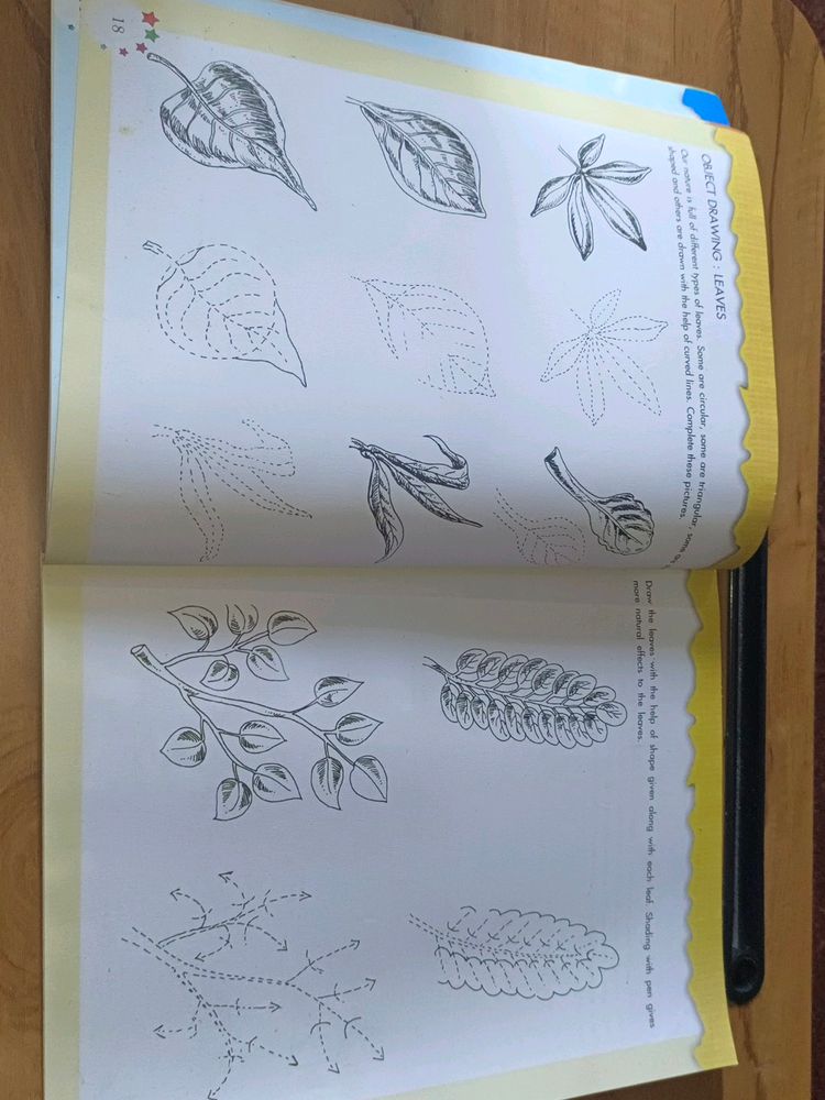 Drawing Book For Kids