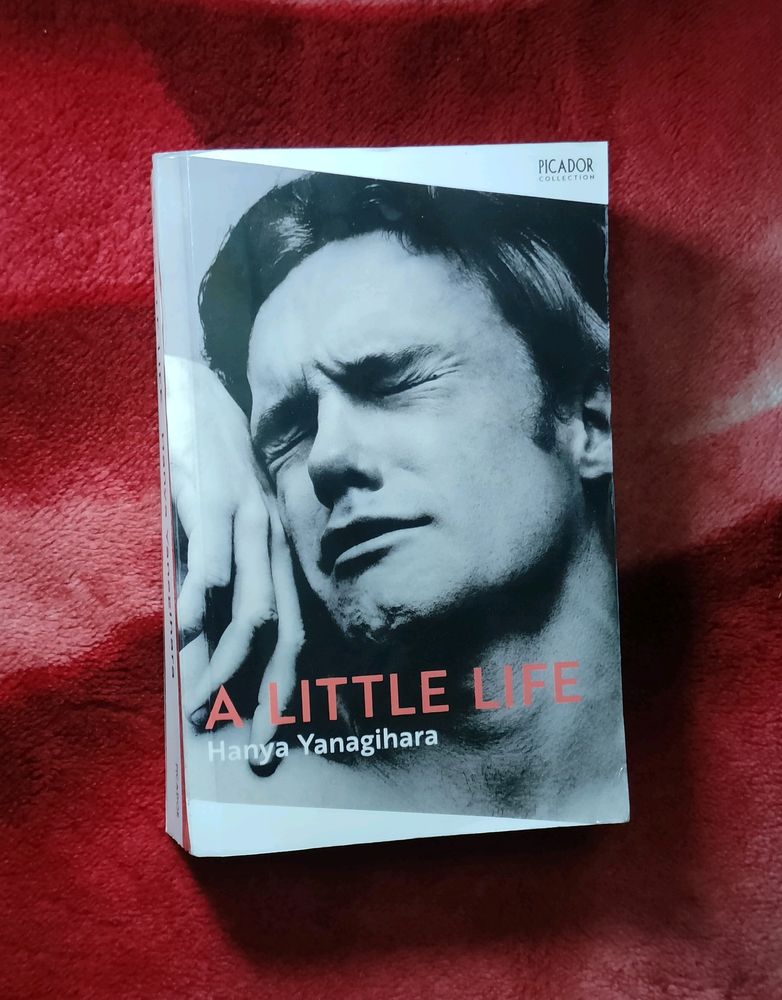 [Flat RS 30 Off On Delivery] A Little Life Novel