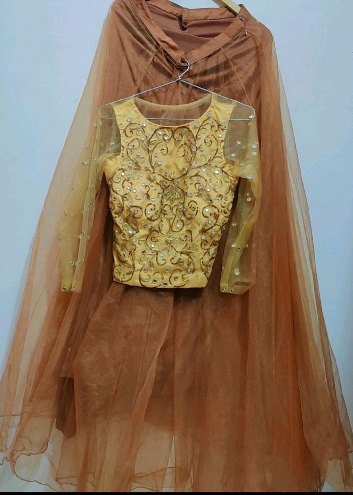 Golden Blouse & Brown Skirt Set For 30 Bust