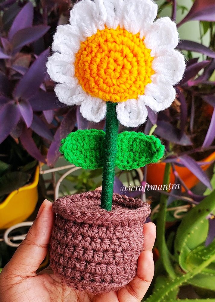 Handmade Crochet Daisy Pot