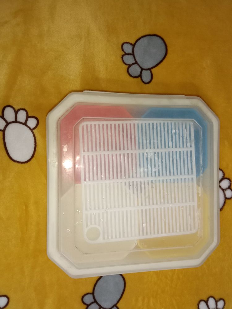 Serving Box/Tray