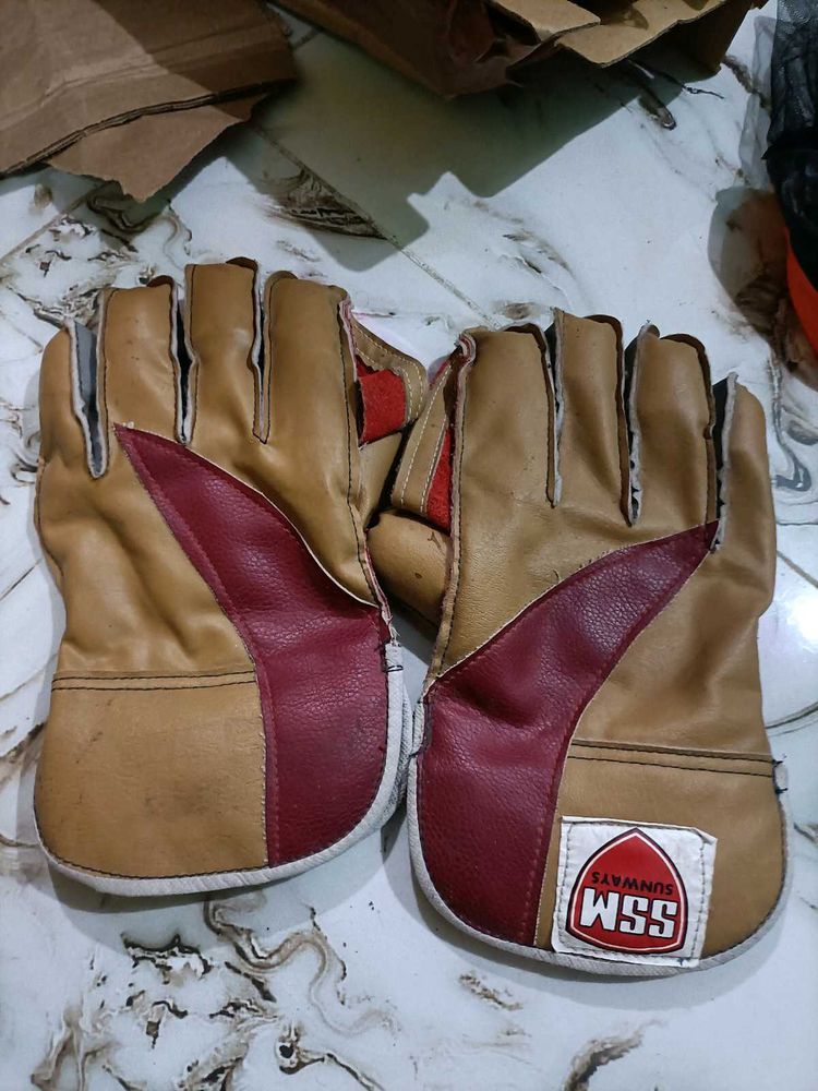 Keeping Gloves Cricket New