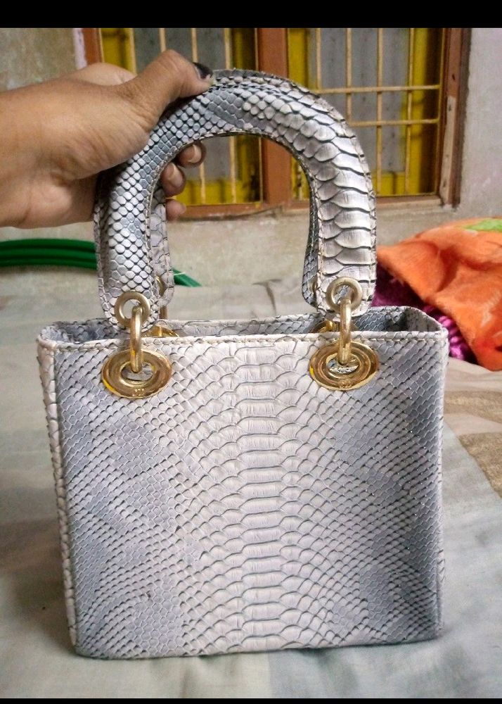 Dior Bag